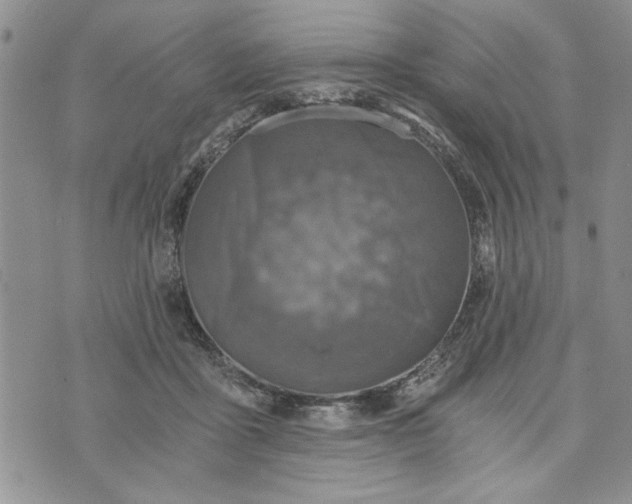 X0000072960411200608041158