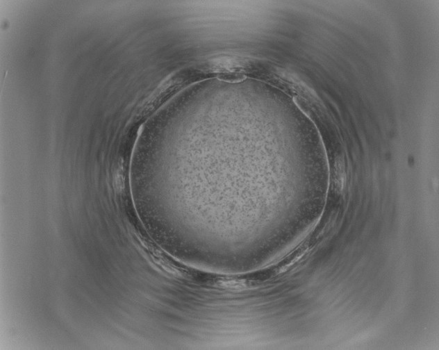 X0000072960413200608041158