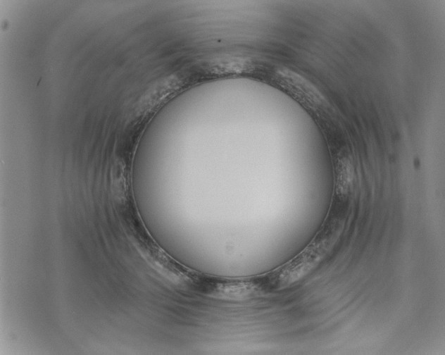 X0000072960414200608041158