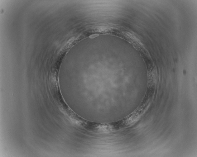 X0000072960415200608041158