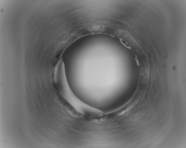 X0000072960416200608041158