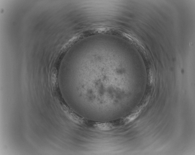 X0000072960417200608041158