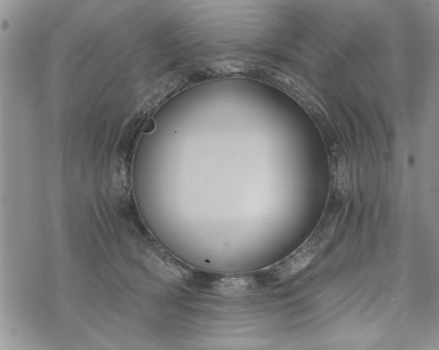 X0000072960418200608041158