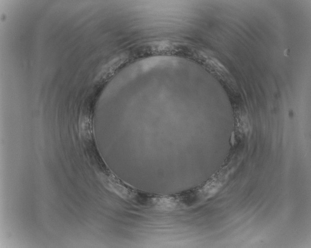 X0000072960419200608041158