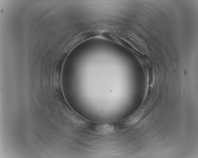 X0000072960421200608041158