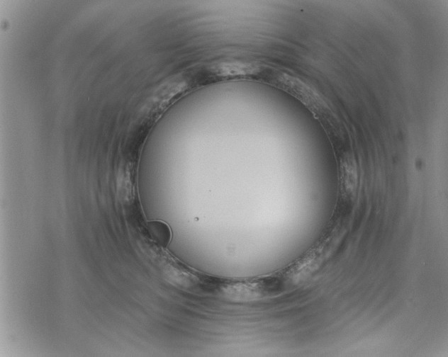 X0000072960422200608041158