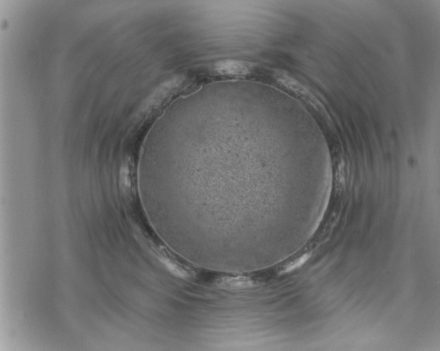 X0000072960424200608041157