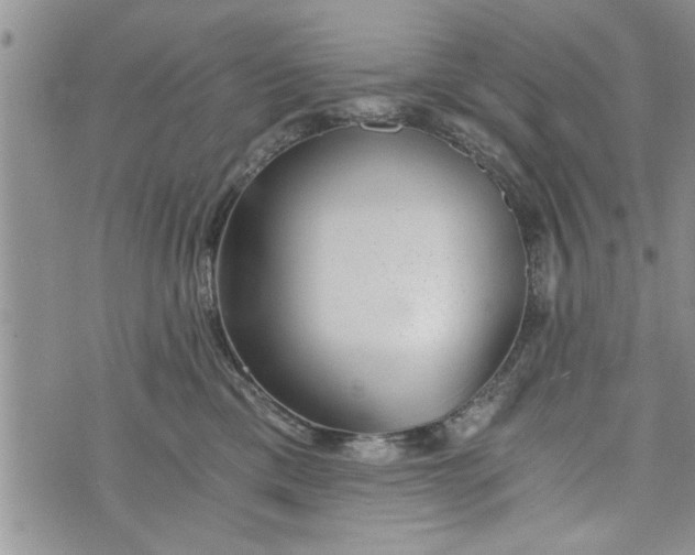 X0000072960425200608041157