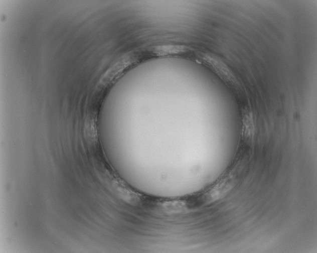 X0000072960426200608041157