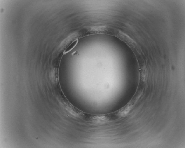 X0000072960428200608041157