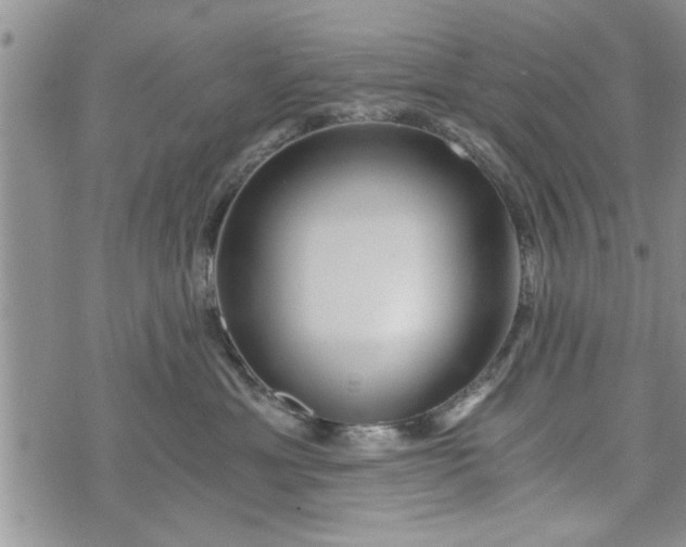 X0000072960429200608041157