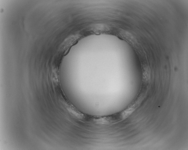 X0000072960430200608041157