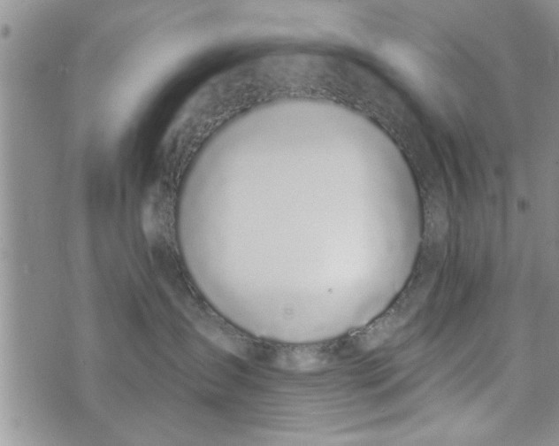 X0000072960431200608041157