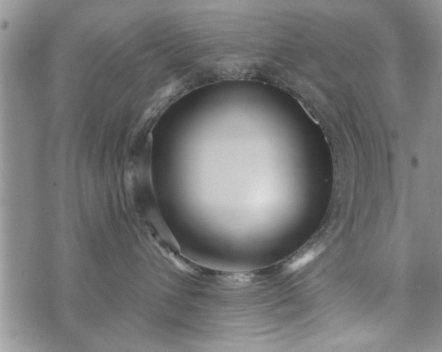 X0000072960432200608041157