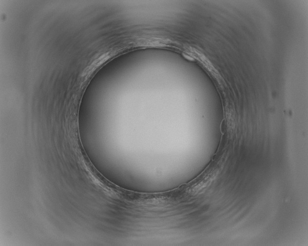 X0000072960433200608041156