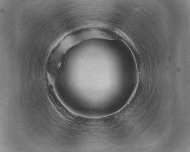 X0000072960436200608041157