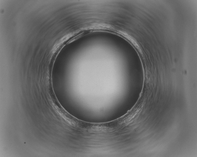 X0000072960437200608041157