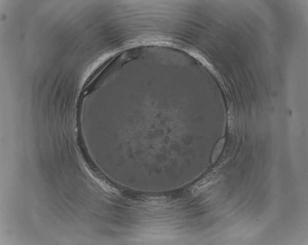 X0000072960438200608041157