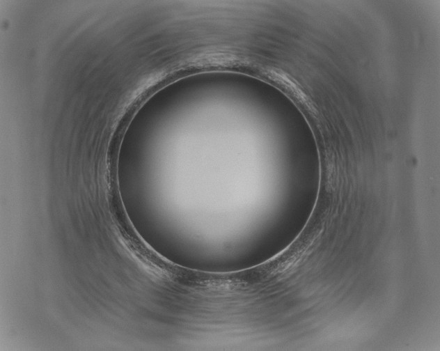 X0000072960439200608041157