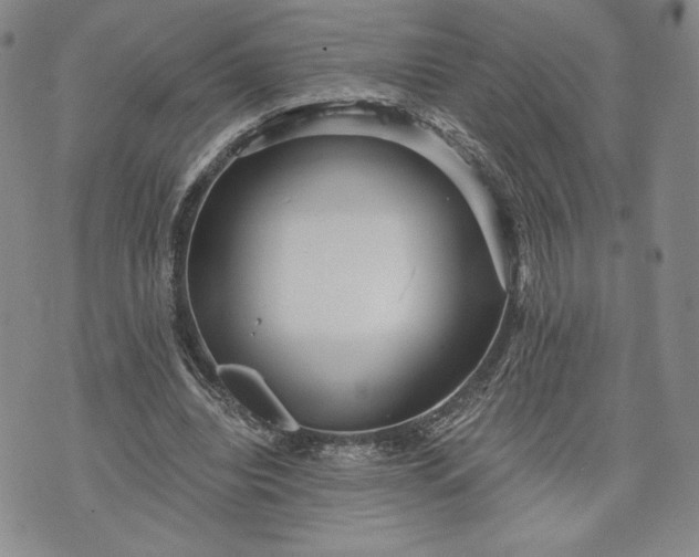 X0000072960440200608041157