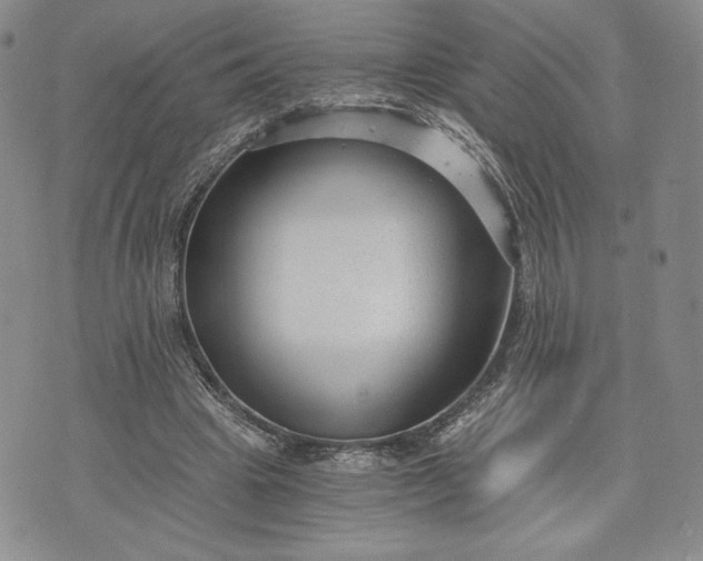 X0000072960441200608041157