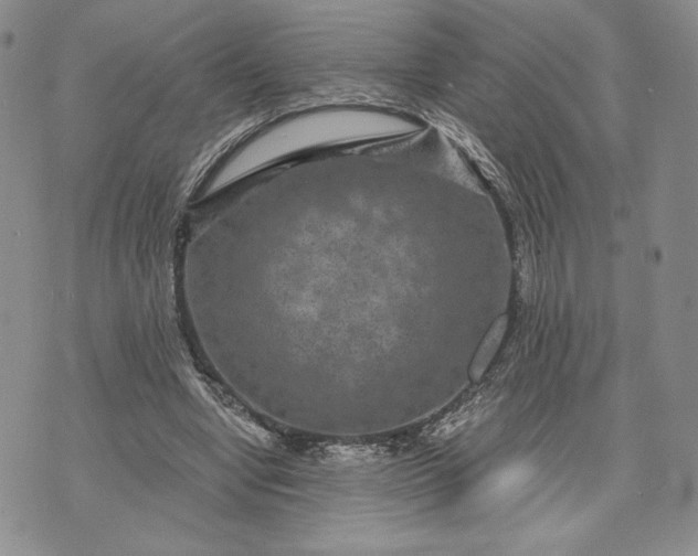 X0000072960442200608041157