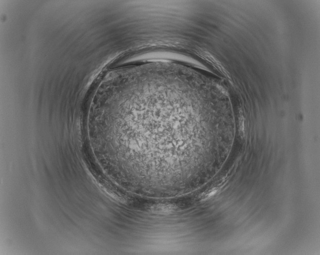 X0000072960444200608041157