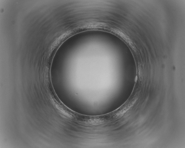 X0000072960445200608041157