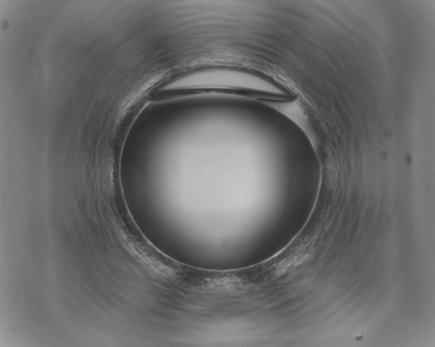 X0000072960446200608041157