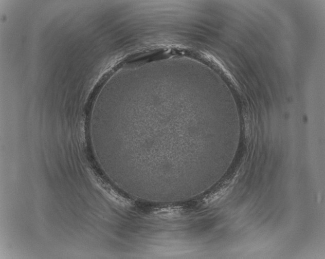 X0000072960447200608041157