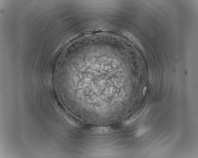 X0000072960449200608041157