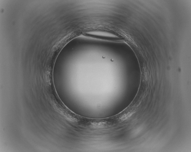 X0000072960450200608041157