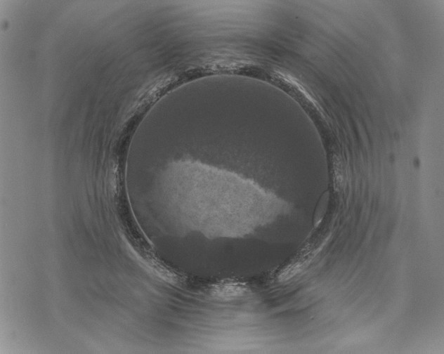 X0000072960451200608041157