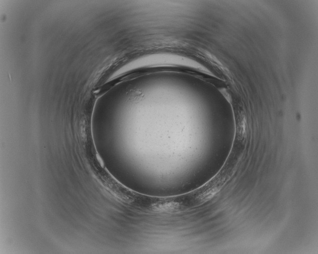 X0000072960452200608041157