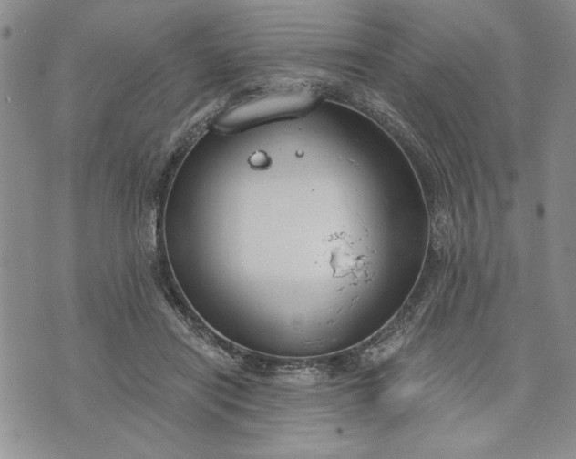 X0000072960454200608041157