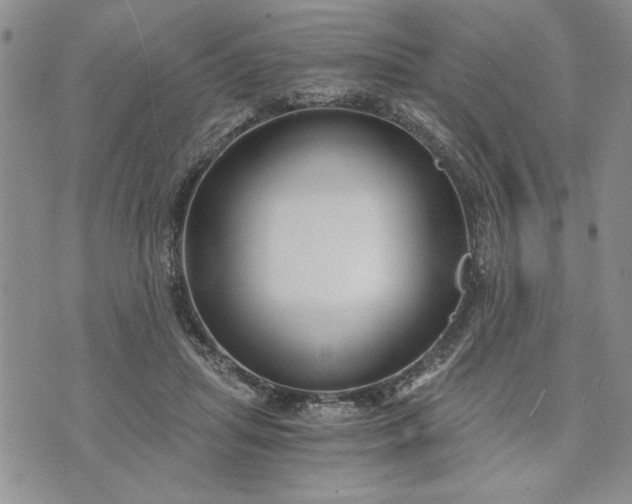 X0000072960455200608041157