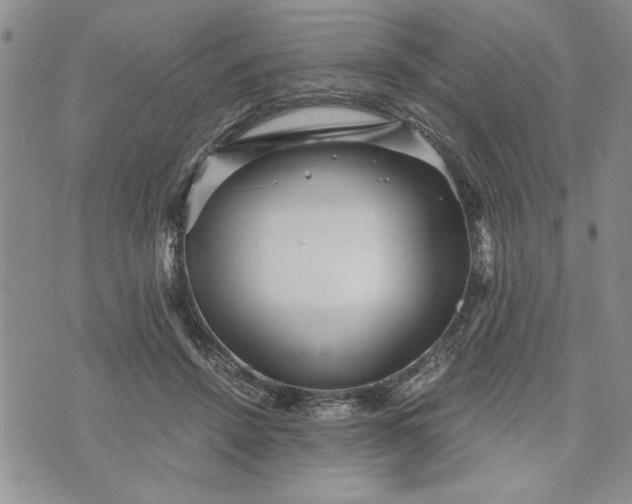 X0000072960456200608041157