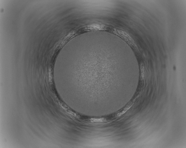 X0000072960457200608041157