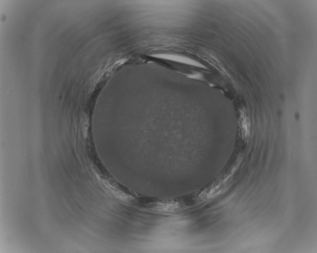 X0000072960458200608041157