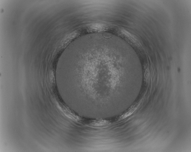 X0000072960459200608041157