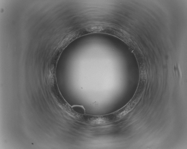 X0000072960460200608041157