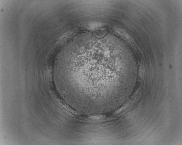 X0000072960461200608041157