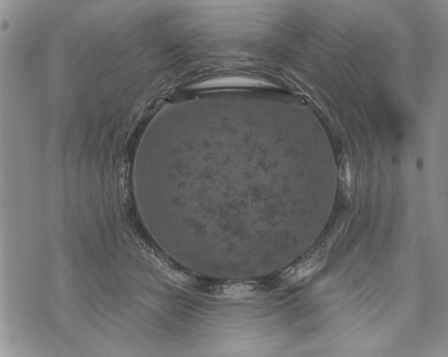 X0000072960462200608041157