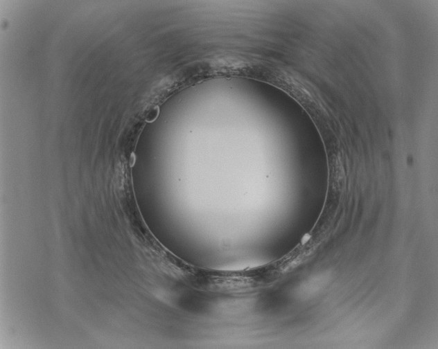 X0000072960463200608041157