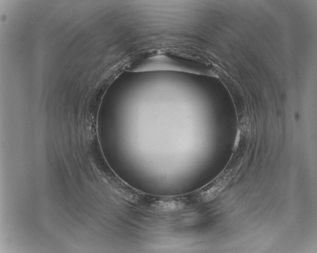 X0000072960464200608041157