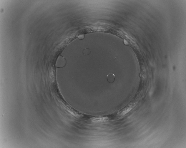 X0000072960465200608041157