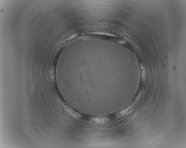 X0000072960466200608041157