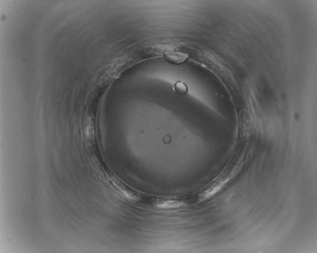 X0000072960467200608041157