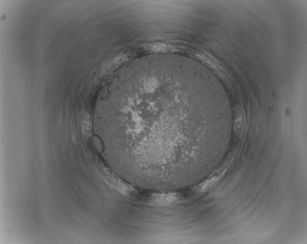 X0000072960469200608041157