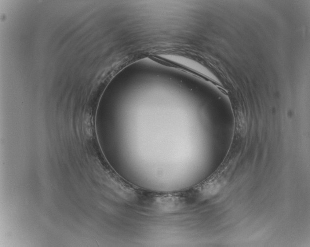 X0000072960470200608041157